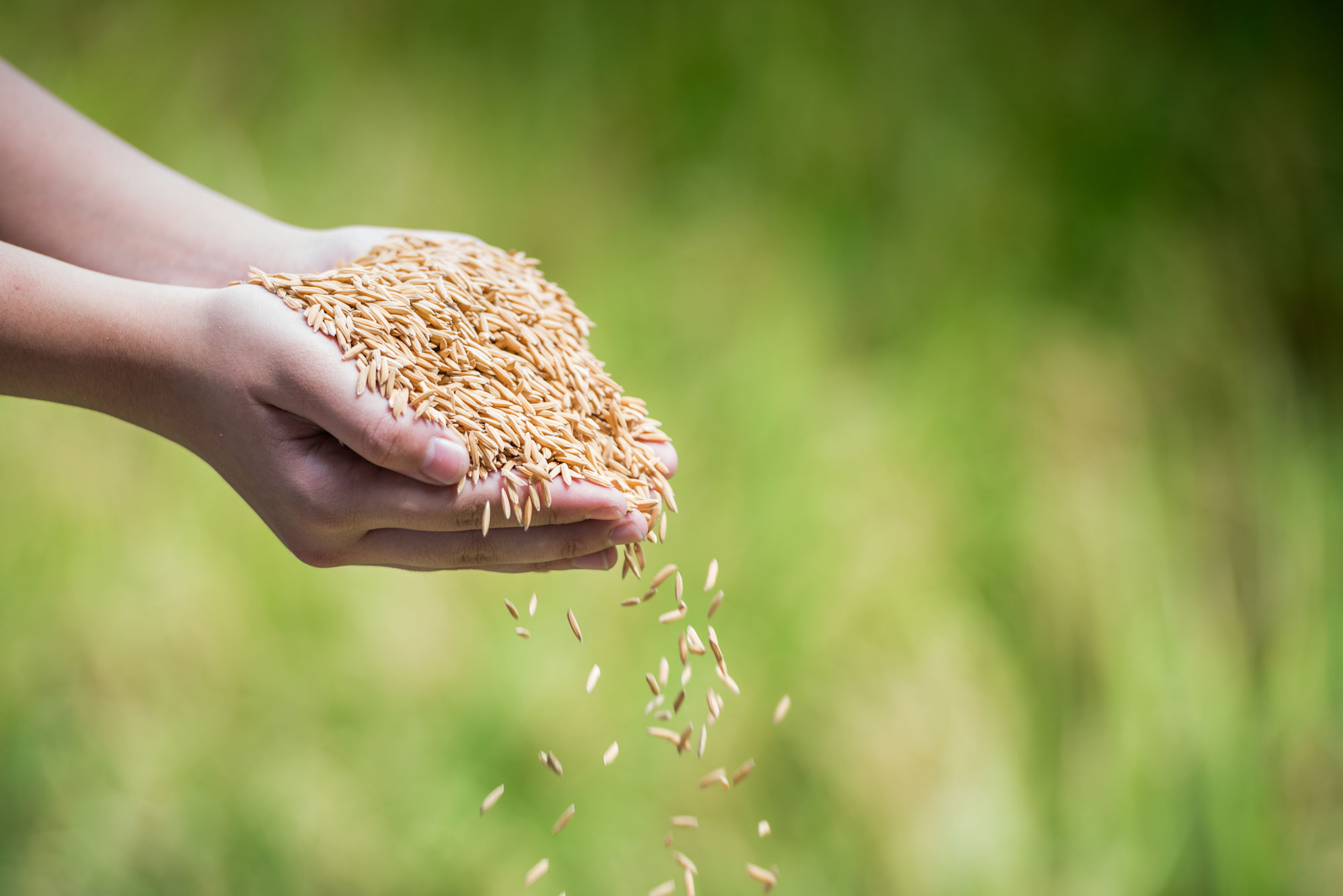 Processing agricultural raw materials as fully as possible into high-quality food.